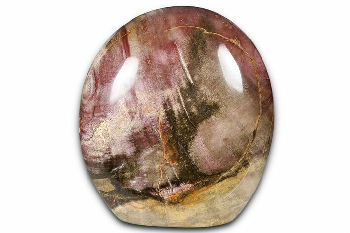 Freestanding, Polished Petrified Wood - Madagascar #384378